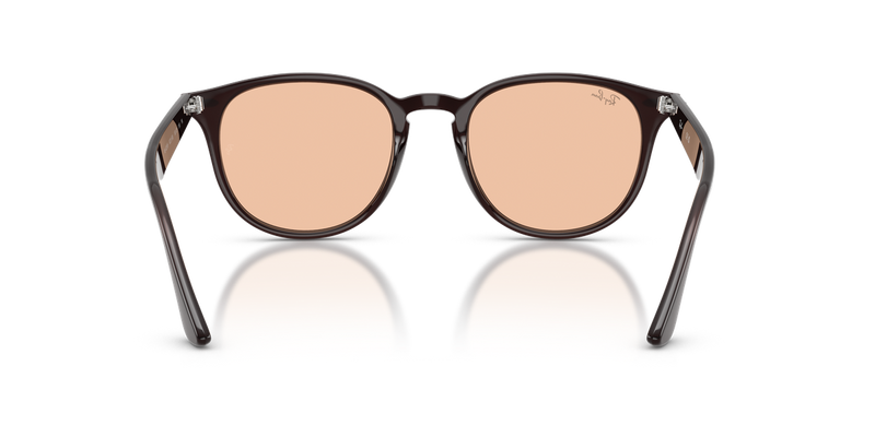 Ray-Ban RB4259F in Transparent Brown / Brown (623193) - Alternate View