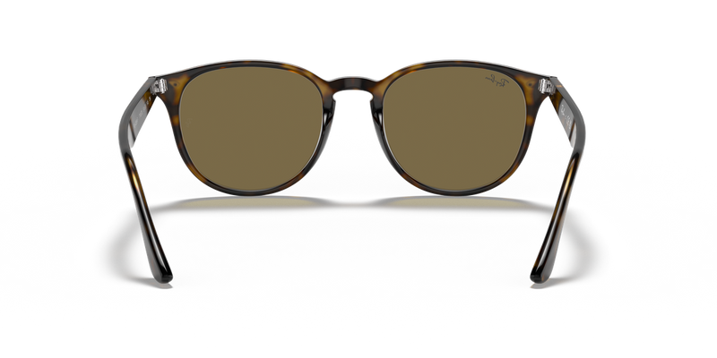 Ray-Ban RB4259F in Light Havana / B-15 Brown (710/73) - Alternate View