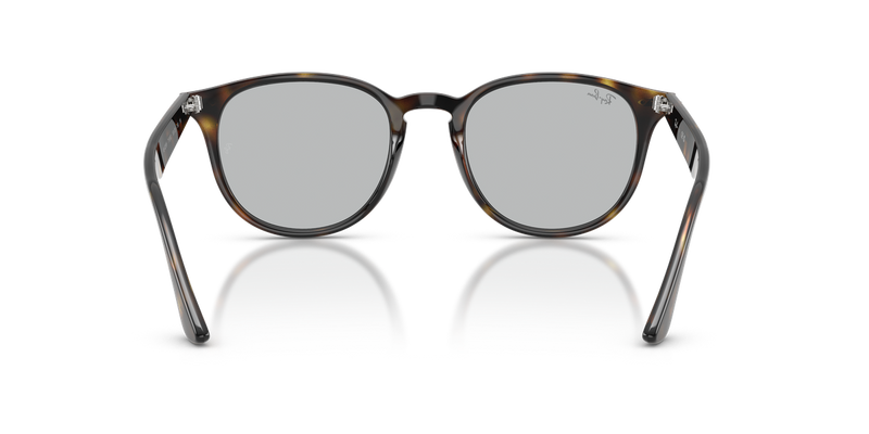 Ray-Ban RB4259F in Light Havana / Light Grey (710/87) - Alternate View