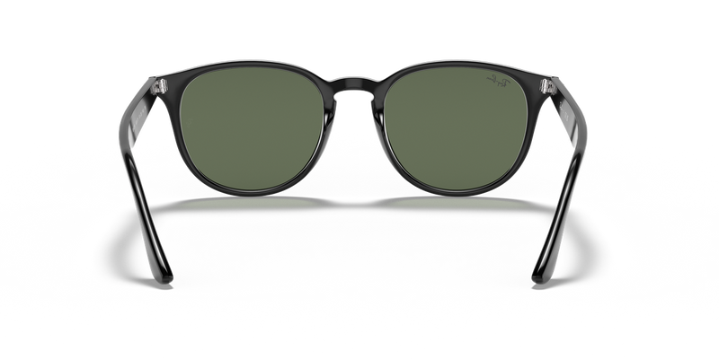 Ray-Ban RB4259 in Black / Green (601/71) - Alternate View