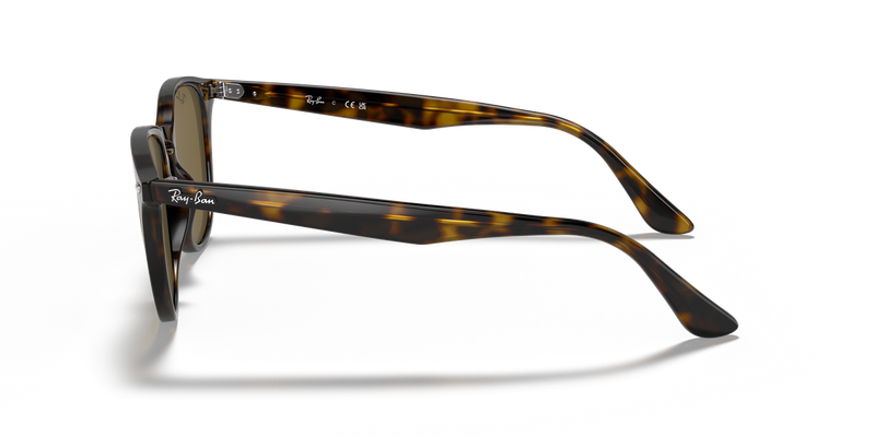 Ray-Ban RB4259 in Light Havana / B-15 Brown (710/73) - Back View