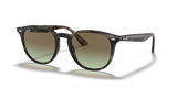 Grey Havana / Brown Gradient (731/E8)