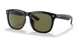 Black / G-15 Green Polarized (601/9A)