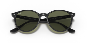 Black / G-15 Green Polarized (601/9A)