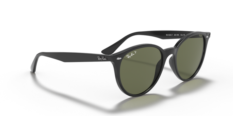 Ray-Ban RB4305F in Black - Alternate View