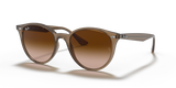 Beige / Brown Gradient (616613)