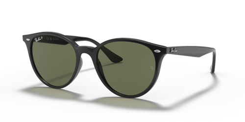 Black / G-15 Green Polarized (601/9A)