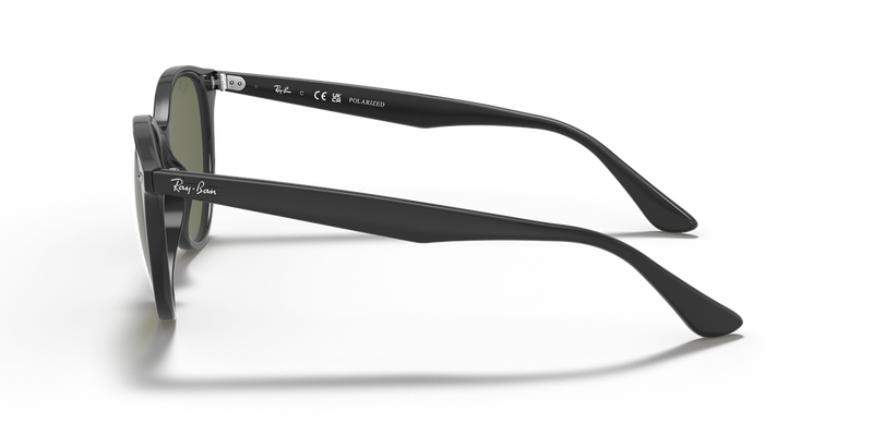 Ray-Ban RB4305 in Black - Back View