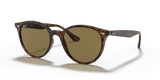 Light Havana / Dark Brown (710/73)