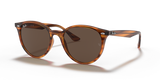 Striped Red Havana / Dark Brown (820/73)