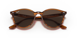 Striped Red Havana / Dark Brown (820/73)