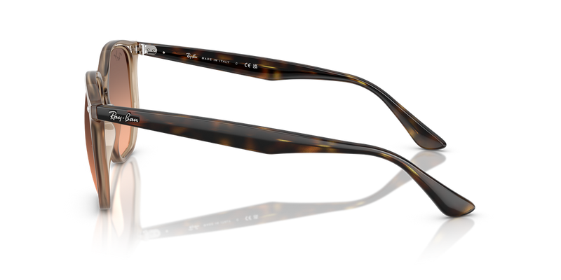 Ray-Ban RB4306F in Turtledove - Alternate View