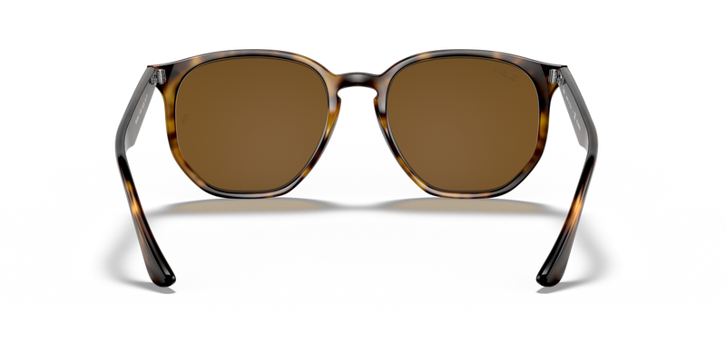Ray-Ban RB4306F in Light Havana - Alternate View