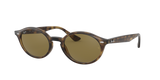 Light Havana / B-15 Brown (710/73)