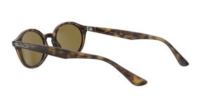 Light Havana / B-15 Brown (710/73)