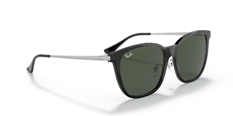 Ray-Ban RB4333D in Black - Alternate View