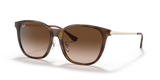 Light Havana / Brown Gradient (710/13)