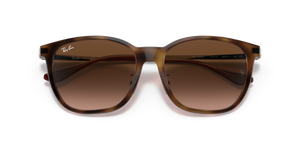 Light Havana / Brown Gradient (710/13)