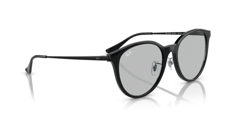 Ray-Ban RB4334D in Black - Alternate View