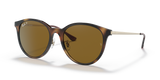 Light Havana / Brown Polarized (710/83)