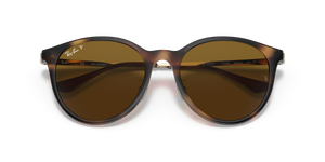 Light Havana / Brown Polarized (710/83)