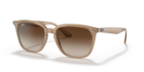 Light Brown / Brown (616613)