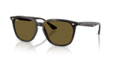 Havana / Dark Brown (710/73)