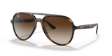 Havana / Brown Gradient (710/13)