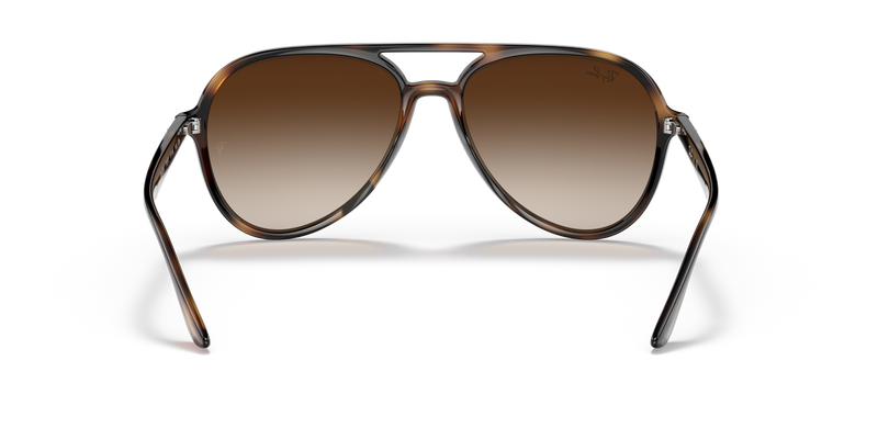 Ray-Ban RB4376 in Havana - Alternate View