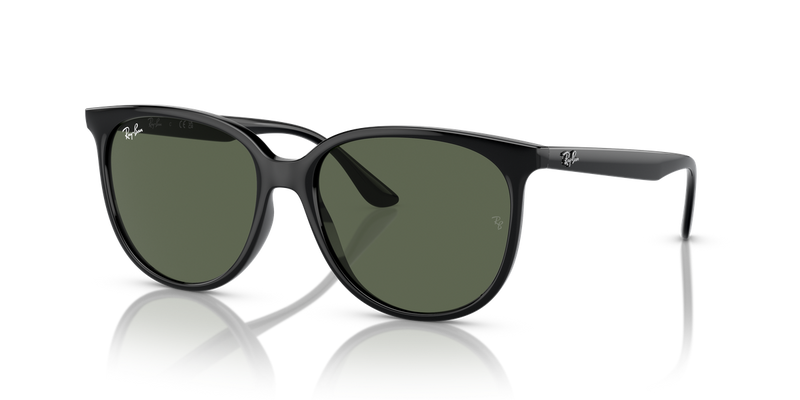 Ray-Ban RB4378F in Black - Front View