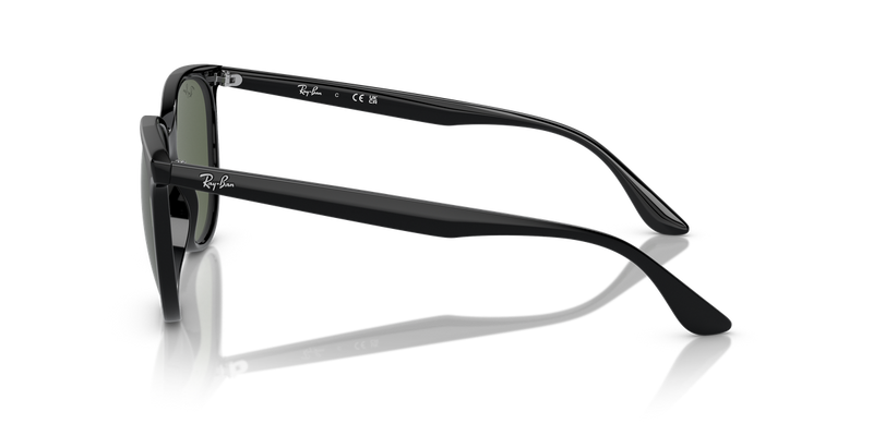 Ray-Ban RB4378F in Black - Back View