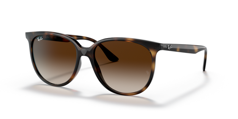 Ray-Ban RB4378F in Havana - Alternate View