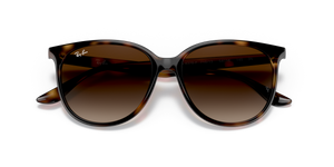 Havana / Gradient Brown (710/13)