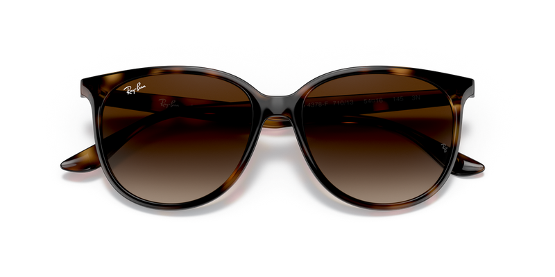 Ray-Ban RB4378F in Havana - Alternate View