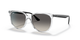 Transparent / Grey Gradient (647711)