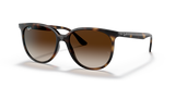 Havana / Gradient Brown (710/13)