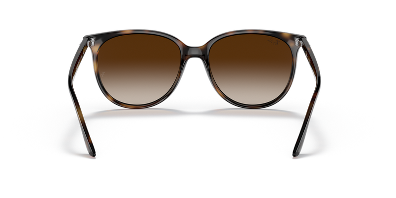 Ray-Ban RB4378 in Havana / Gradient Brown (710/13) - Temple Detail