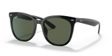 Black / Dark Green (601/71)