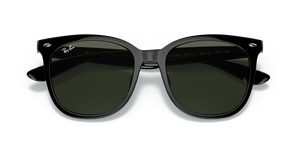 Black / Dark Green (601/71)