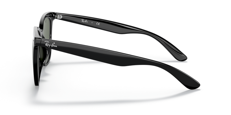 Ray-Ban RB4379D in Black - Back View