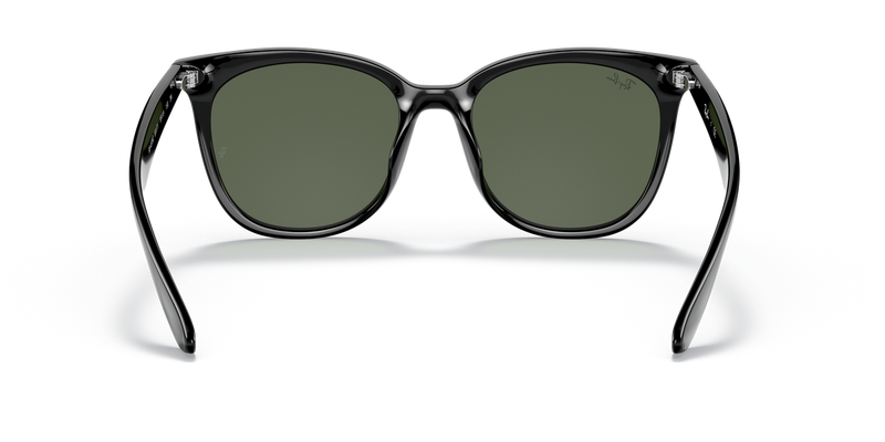Ray-Ban RB4379D in Black - Temple Detail