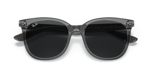 Transparent Grey / Dark Grey (659987)