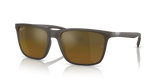 Brown / Gold & Brown Polarized+ (6124A3)