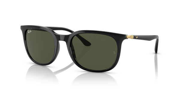 Ray-Ban RB4386