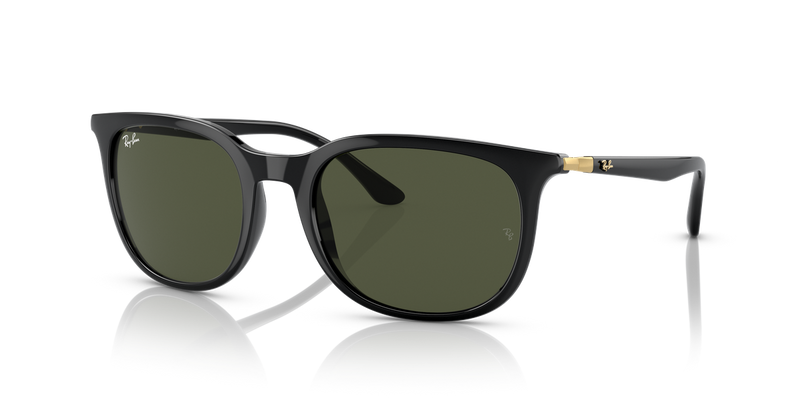 Ray-Ban RB4386 in Black - Front View