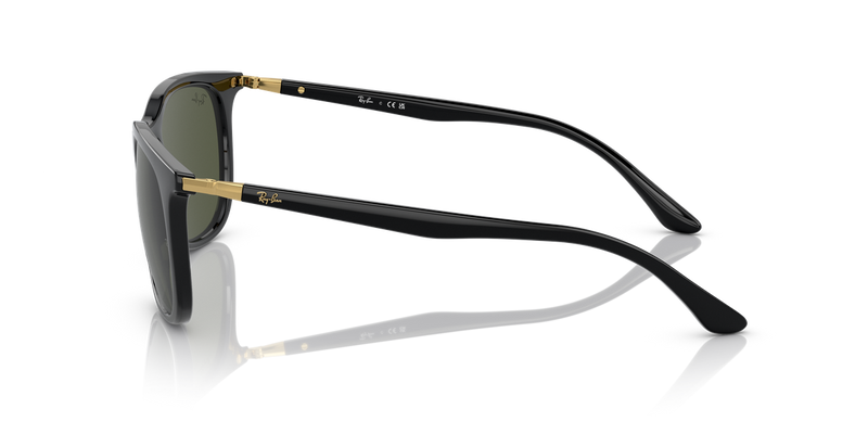 Ray-Ban RB4386 in Black - Back View