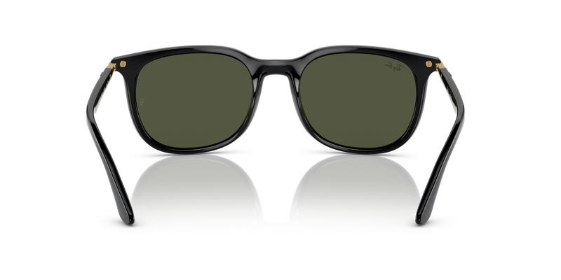 Ray-Ban RB4386 in Black - Temple Detail