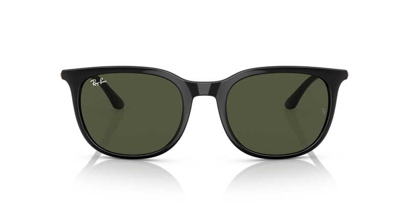 Ray-Ban RB4386 in Black - Alternate View