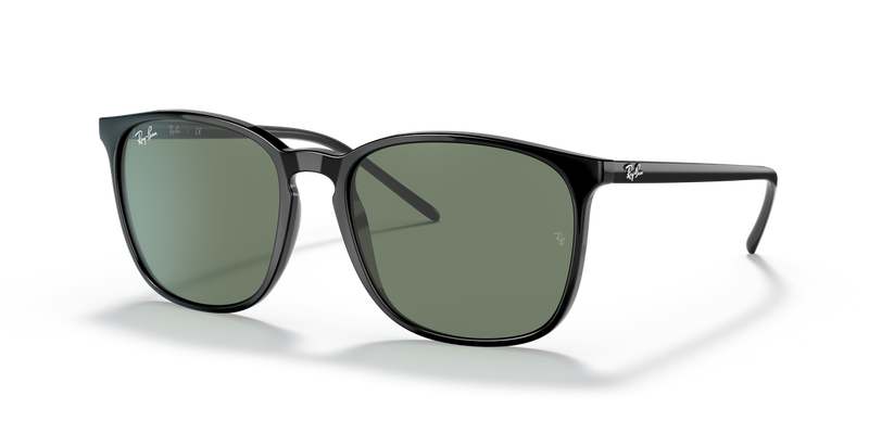 Ray-Ban RB4387F in Black - Front View