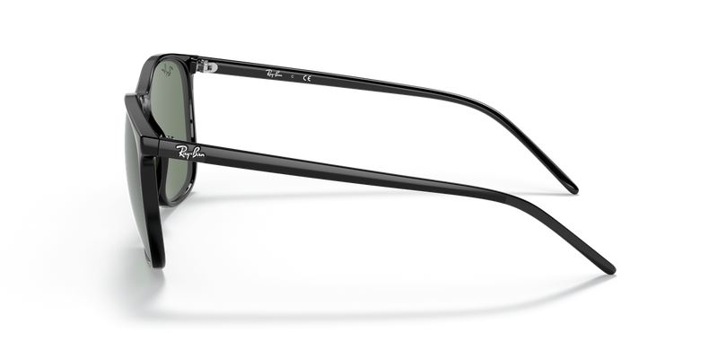 Ray-Ban RB4387F in Black - Back View